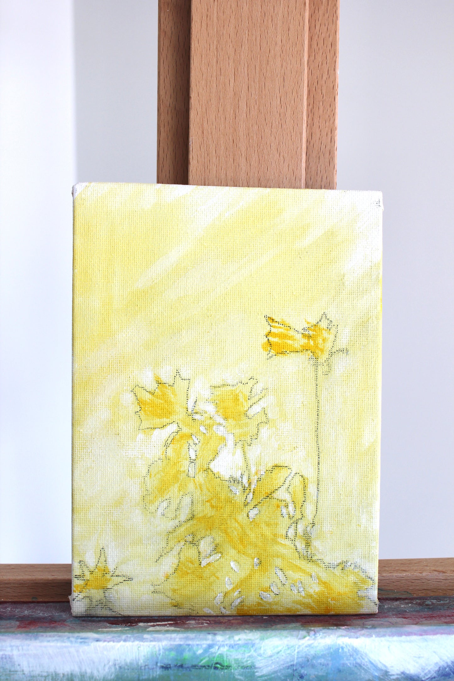 flowers in the sunlight 02
