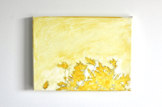 flowers in the sunlight 05