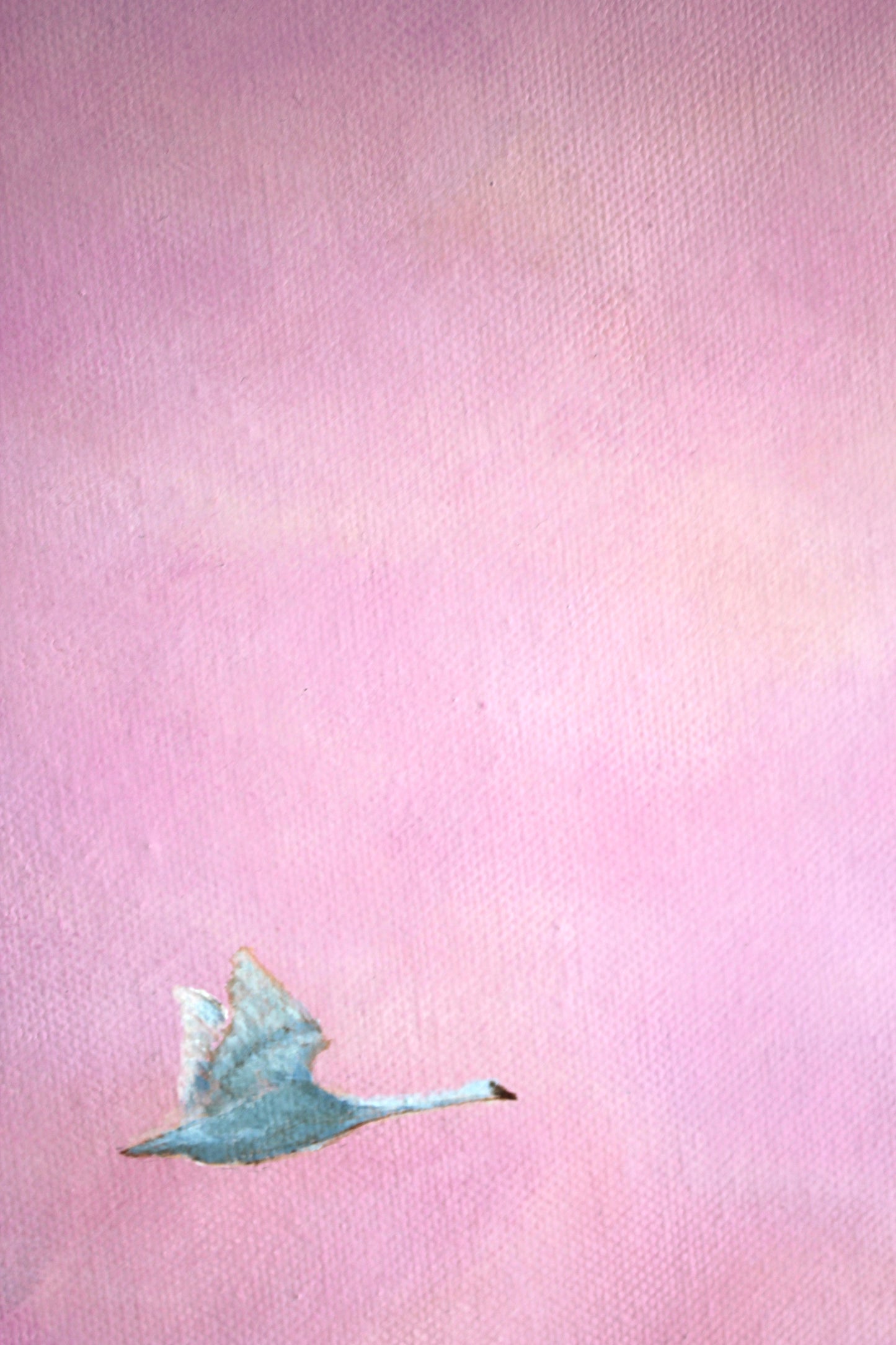 the solo swan